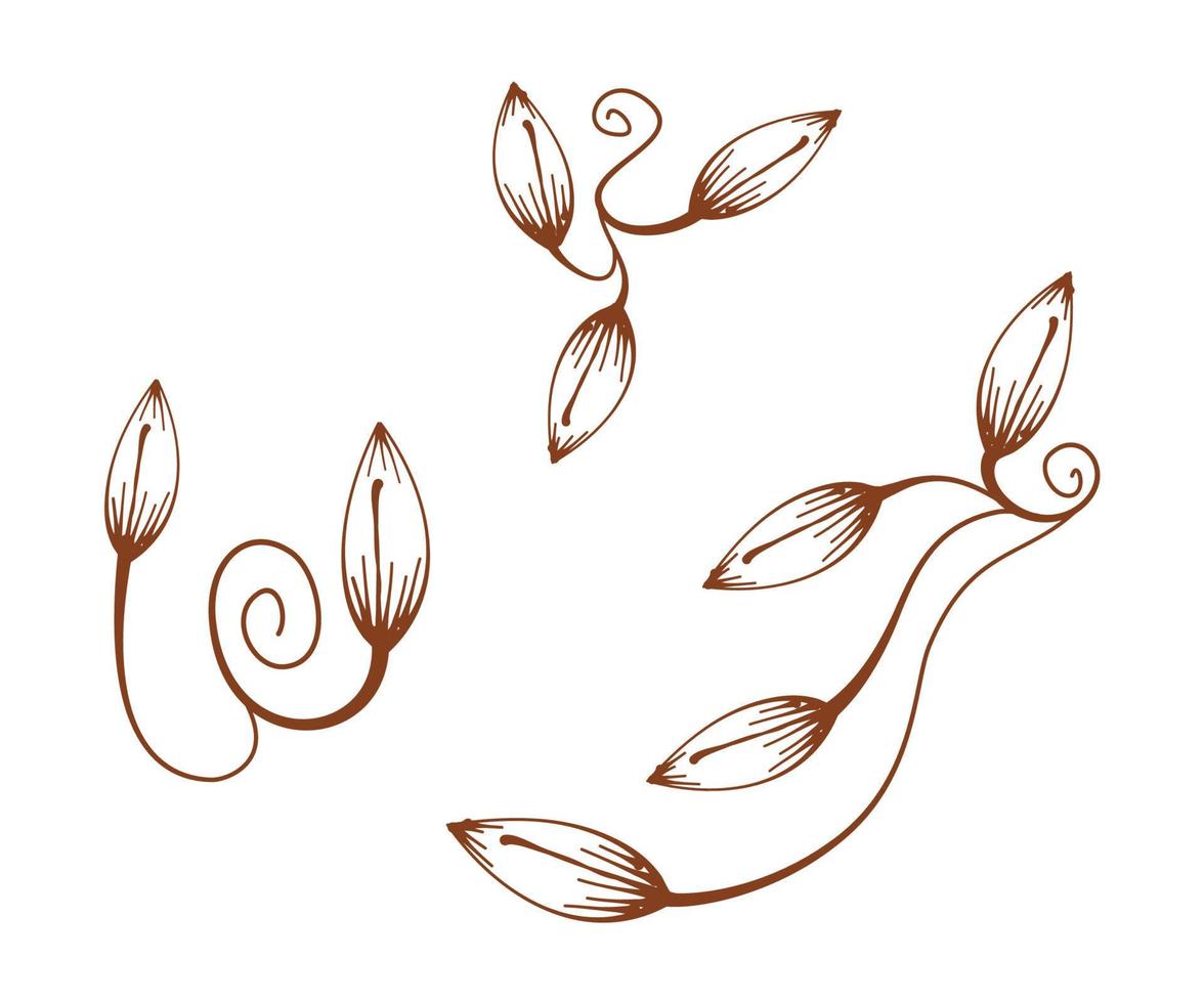 planta en espiral, adorno de hoja en espiral, diseño de elementos de esquina, adorno de borde natural, elementos de diseño floral vector