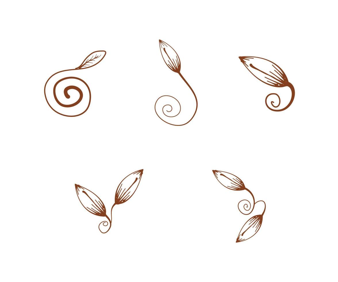 elementos de diseño floral decorativo, planta en espiral, adorno de hojas en espiral, diseño de elementos de esquina, adorno de naturaleza de borde vector