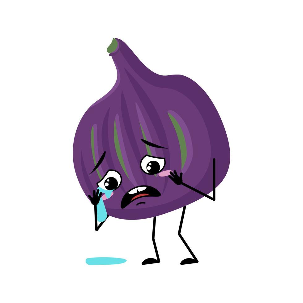 Fig character with crying and tears emotion, sad face, depressive eyes, arms and legs. Person with melancholy expression, violet fruit emoticon. Vector flat illustration
