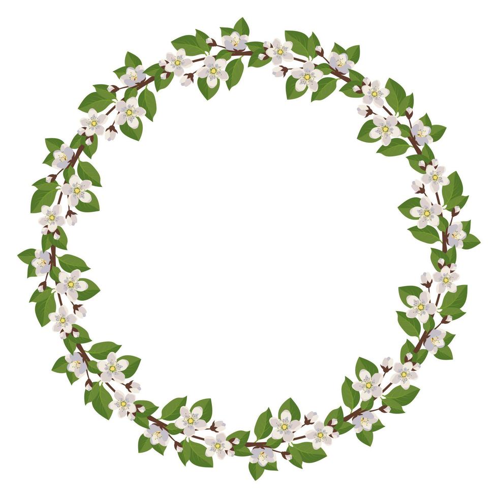 Round wreath of cherry or apple tree. Frame with white flowers. Spring blooming composition with buds and leaves. Festive decoration for wedding, holiday, postcard and design. Vector flat illustration