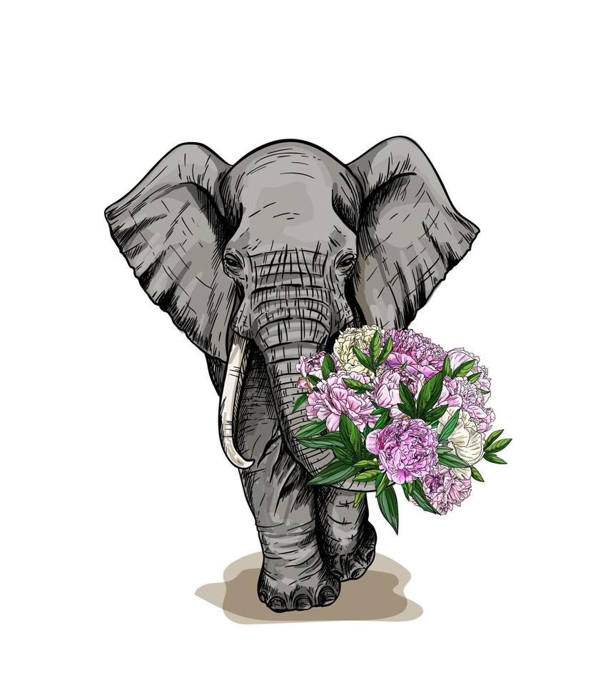 elefante grande sosteniendo un ramo de peonías rosas en su baúl vector