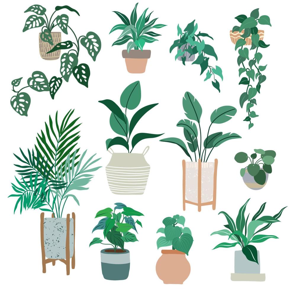 House plants in pots, trendy hand drawn vector flat illustration, urban jungle design, tropical plants.