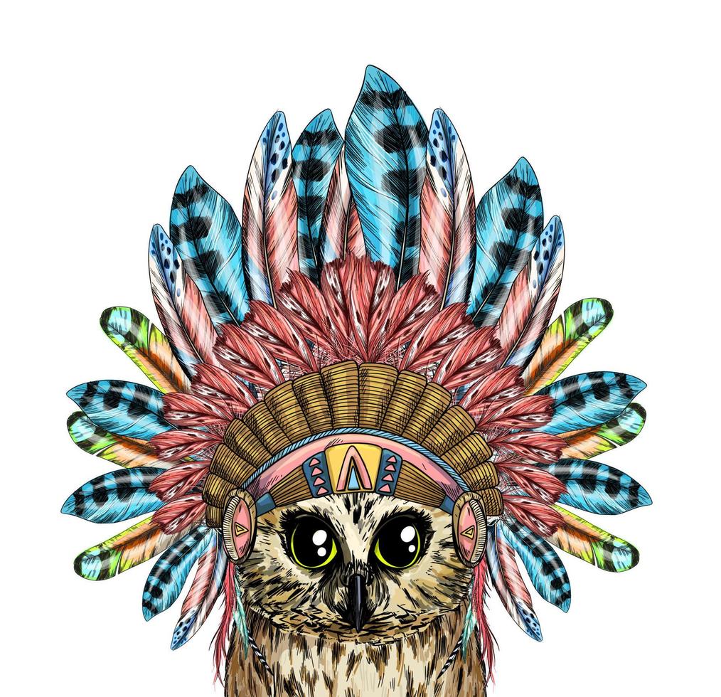 Cute owl in tribal  indian hedband with feathers vector