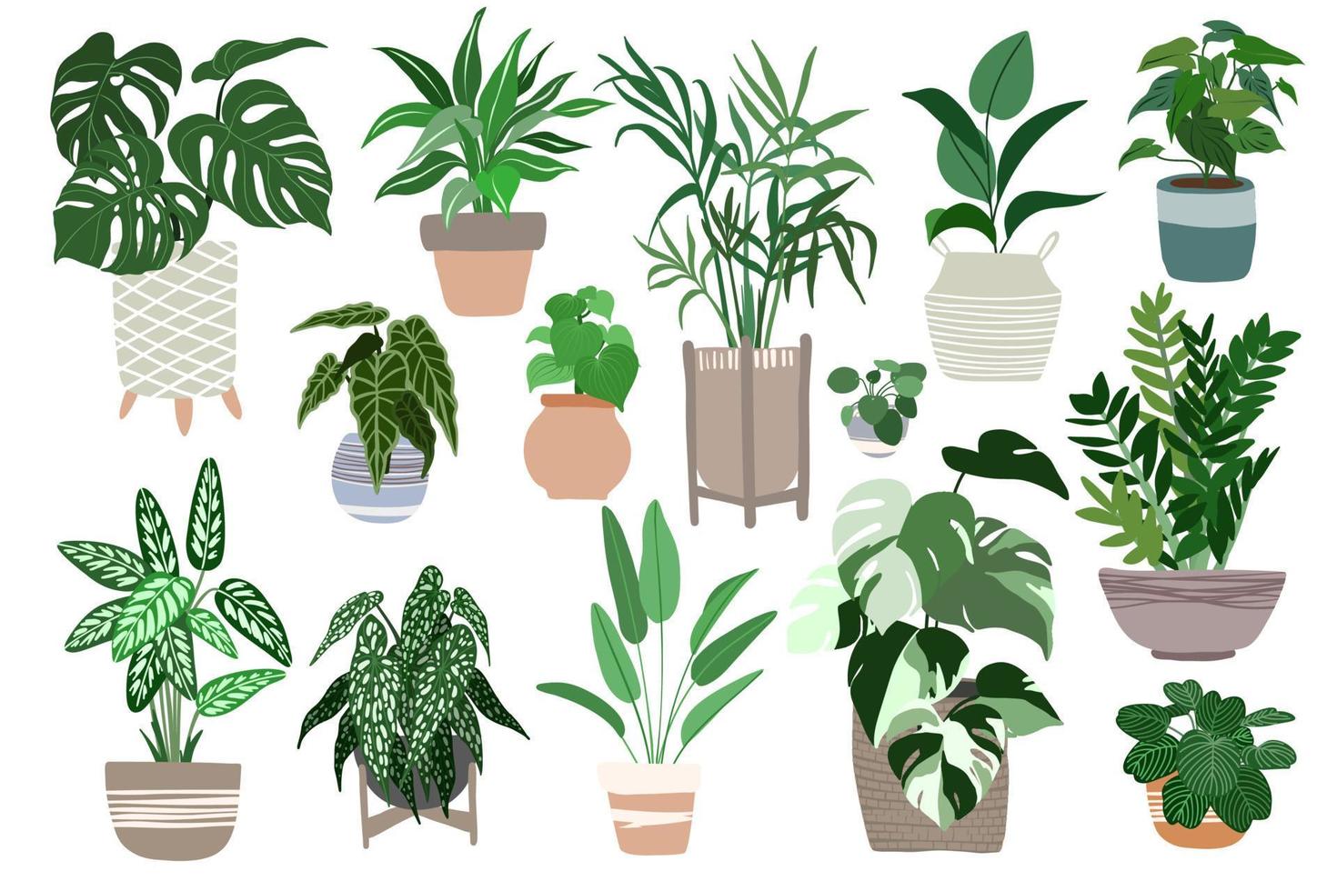 Big collection of home plants in pots, scandi design vector