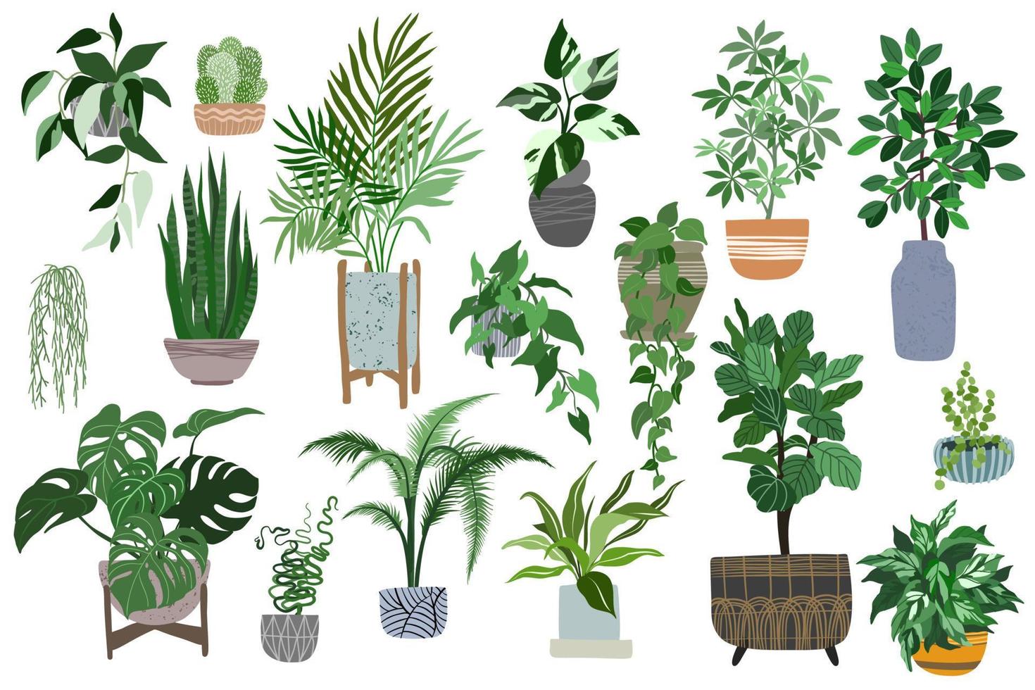 Big collection of home plants in pots, scandi design 7232184 Vector Art ...