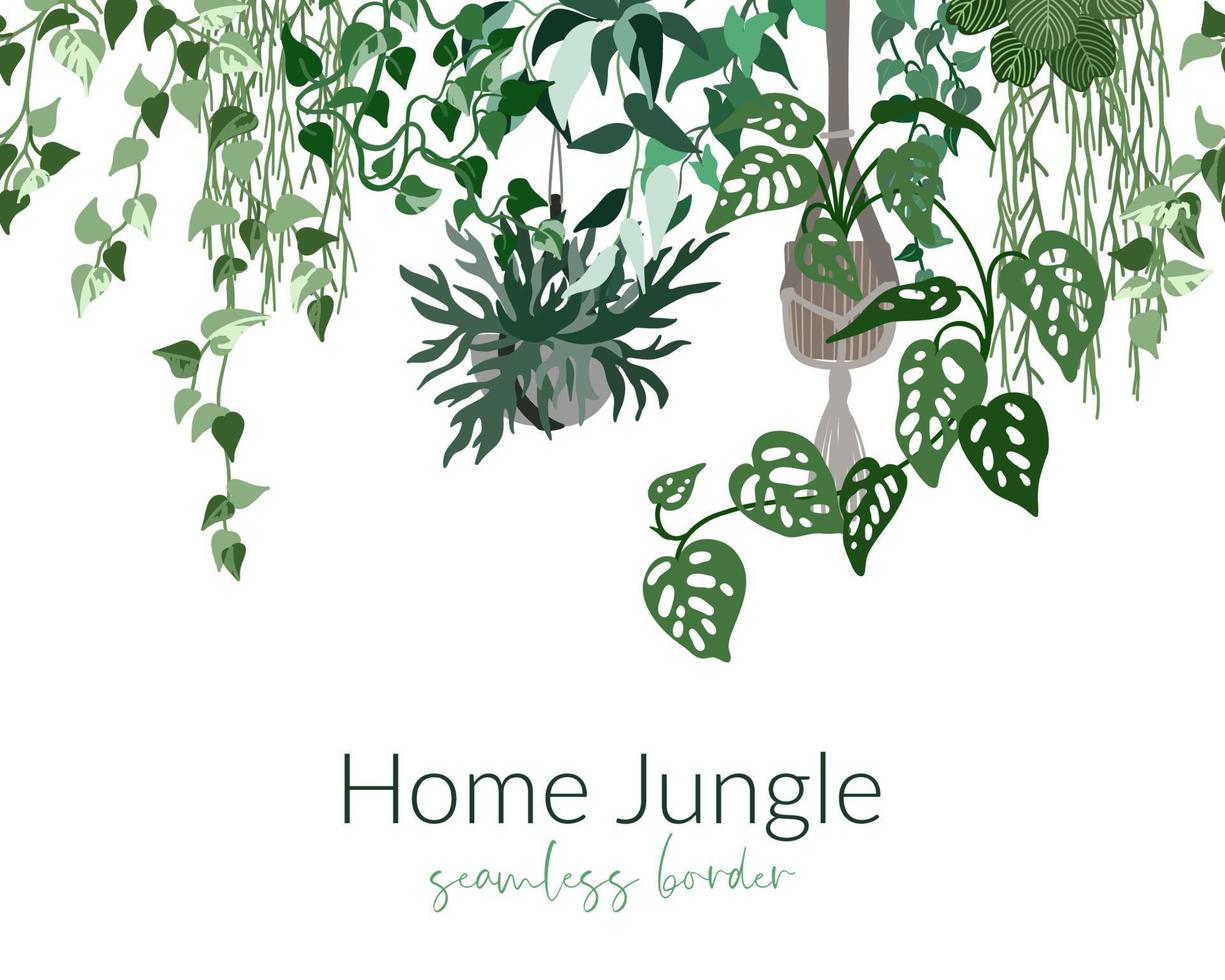 Tropical home plants in pots, urban jungle seamless border vector