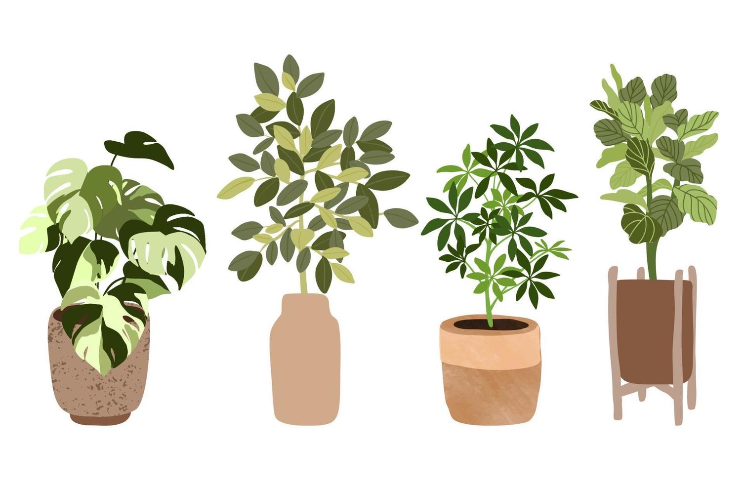 Set of four tropical houseplants in pots vector