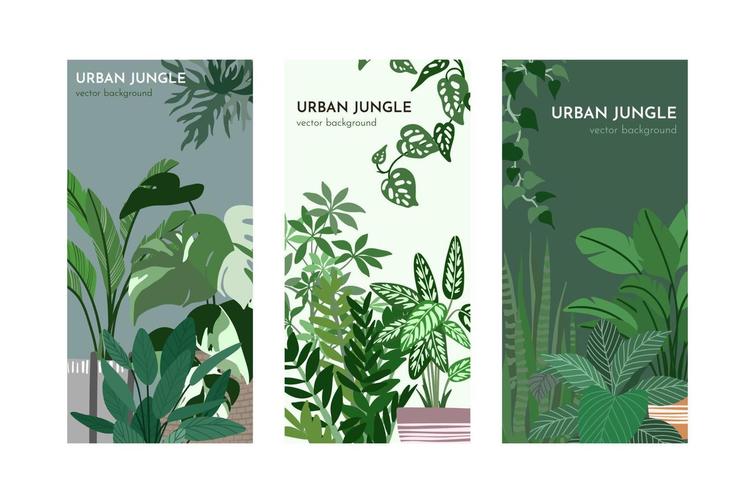 conjunto de tres plantillas de tarjetas con plantas de interior vector