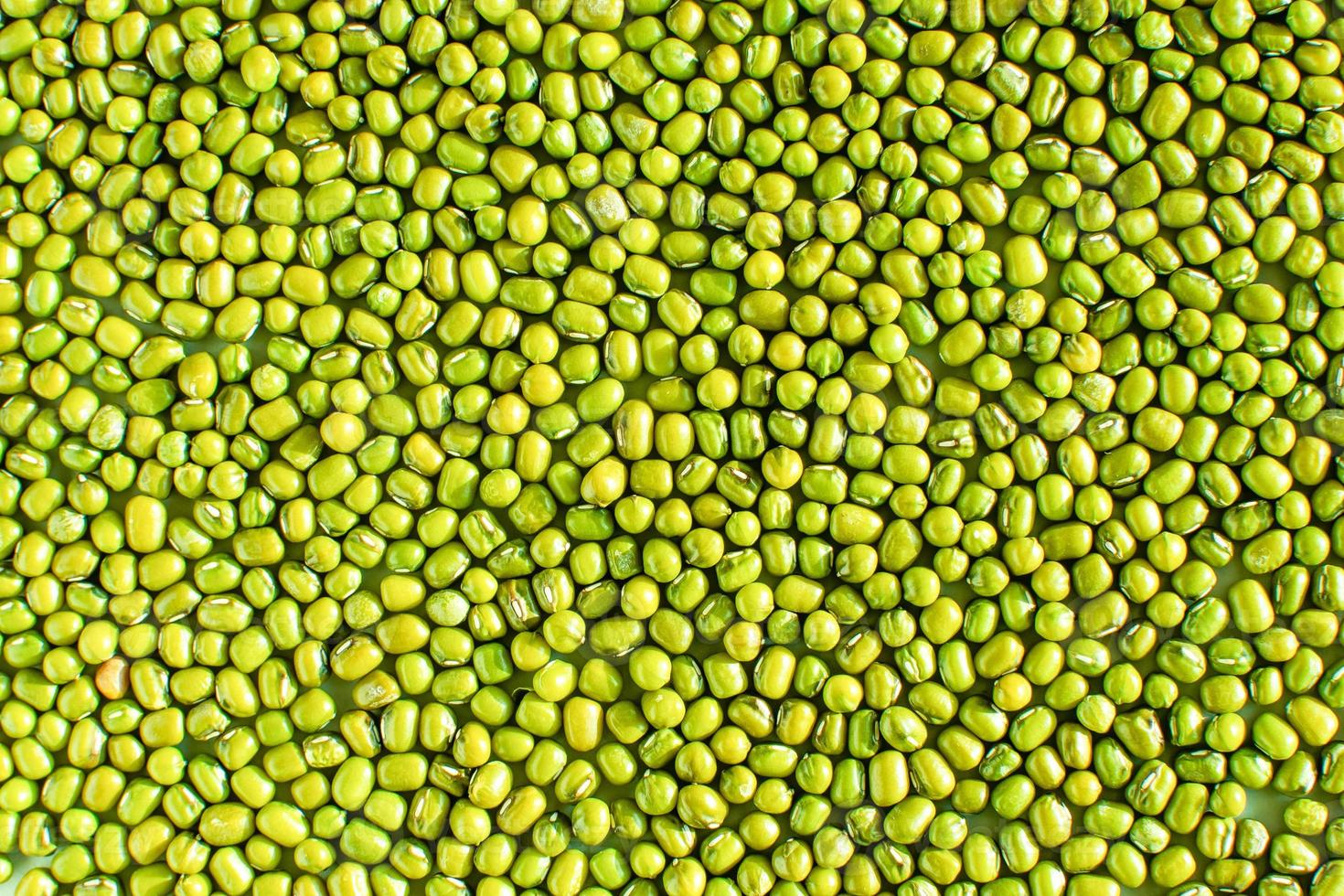 Large group of green mung bean from natural Sunbathes outdoors during the day to kill mold and any virus. The concept of sunlight kills the coronavirus, COVID-19, and other pathogens. Bean background photo