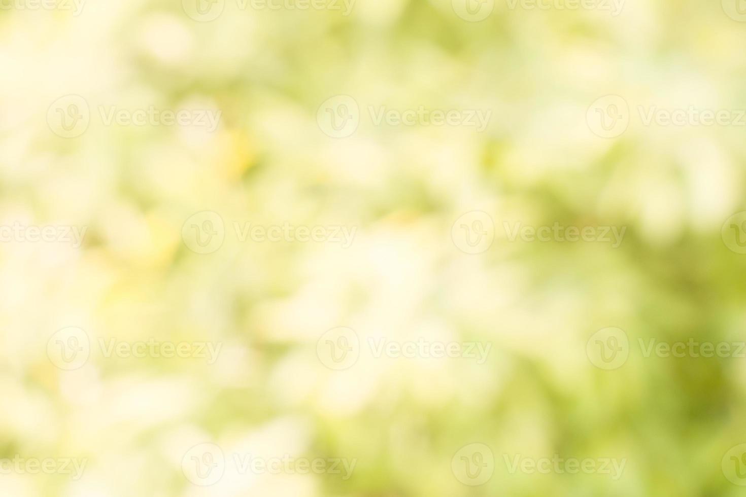 Spring fresh background, bokeh blur photo