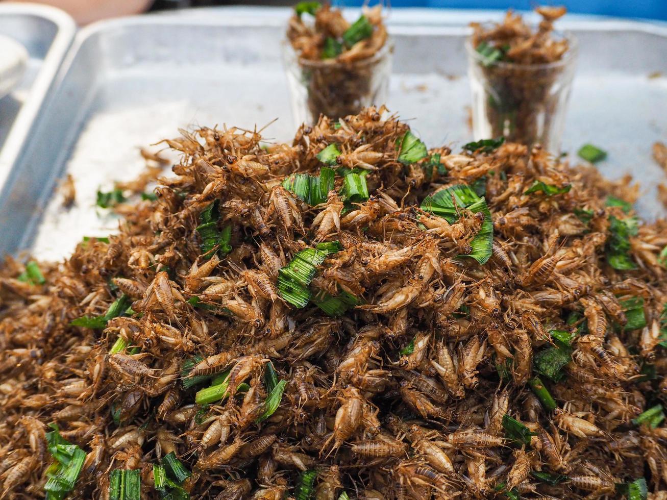 Fried crickets white for sale in the market photo