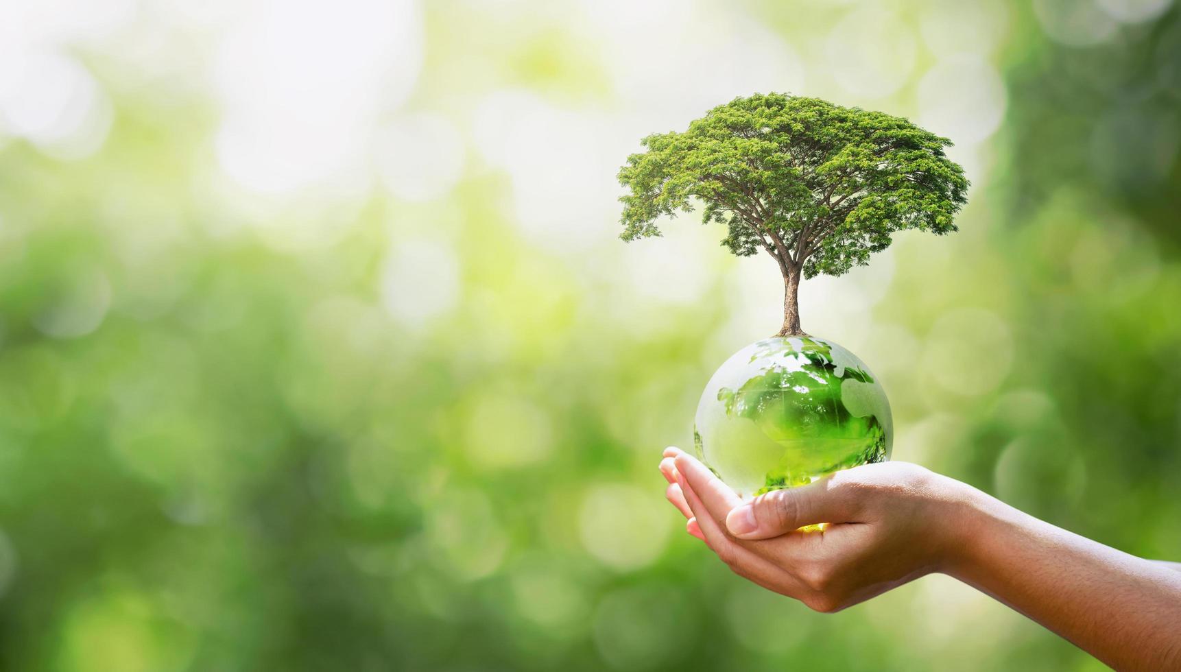 mano que sostiene el globo de cristal con la plantación de árboles y el concepto ecológico de naturaleza verde borrosa foto