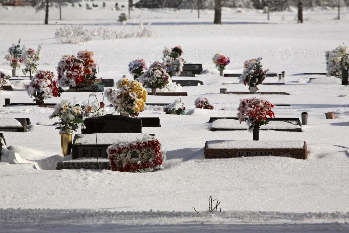 Flowers on graves in winter photo