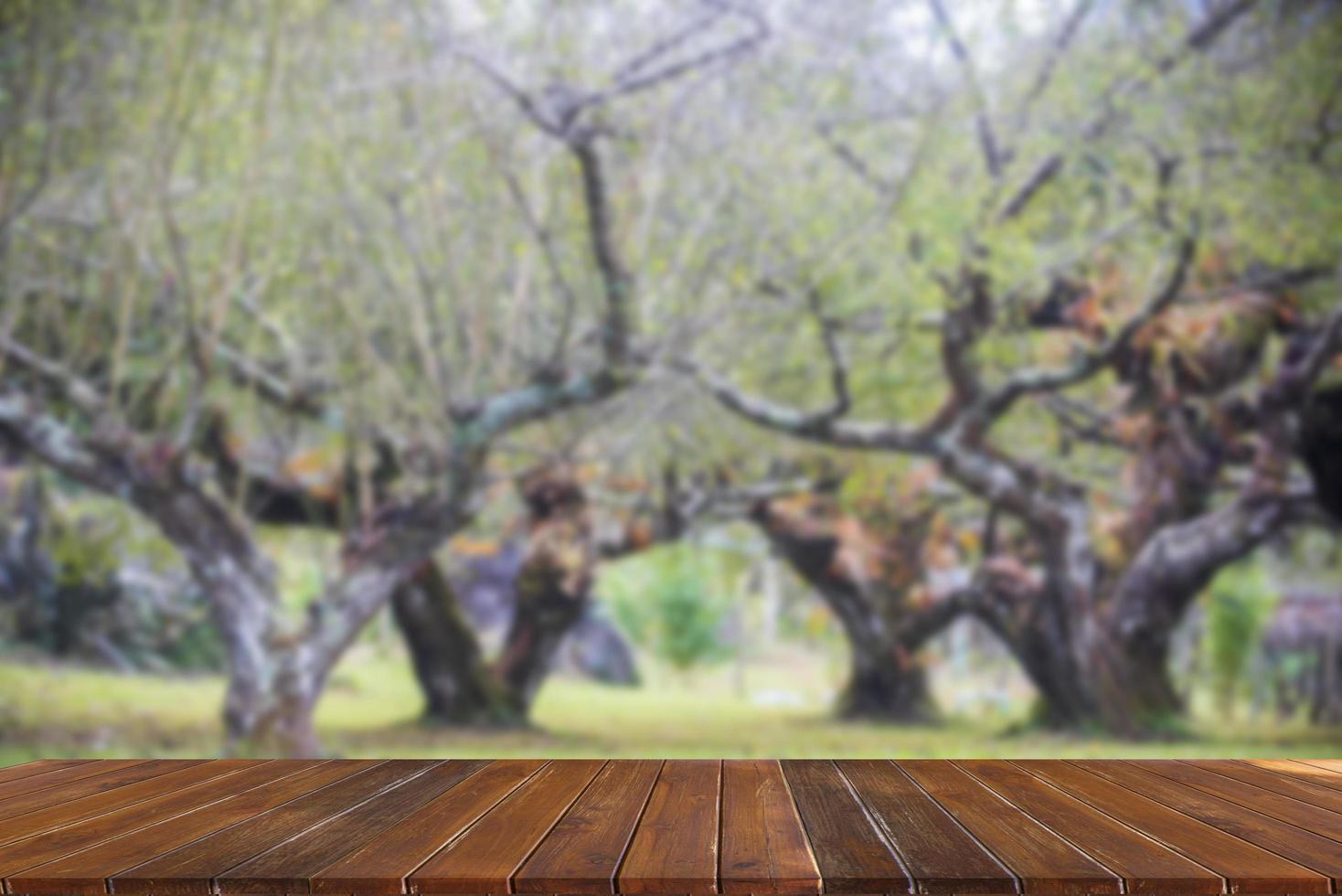 wooden table top on blurred park background photo