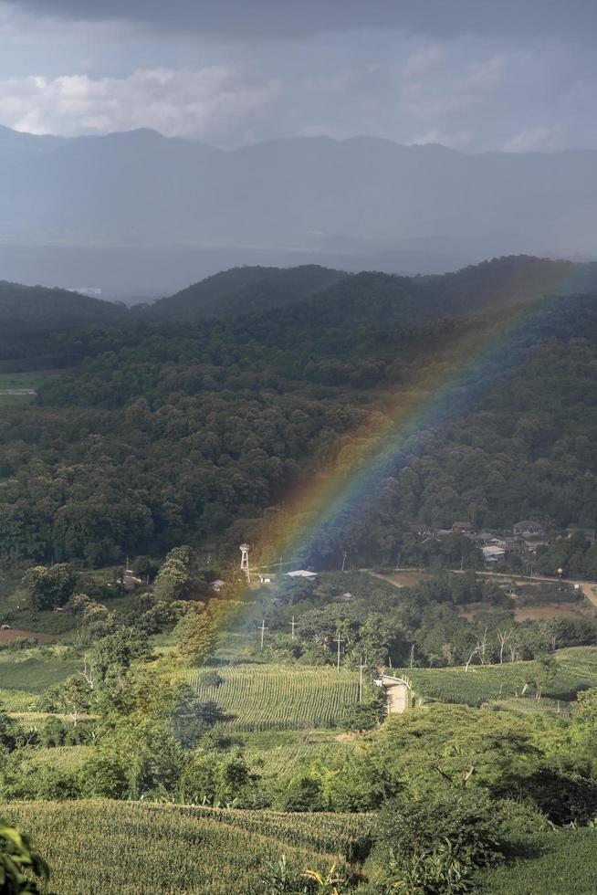 arco iris sobre el árbol de las colinas verdes en el cielo foto