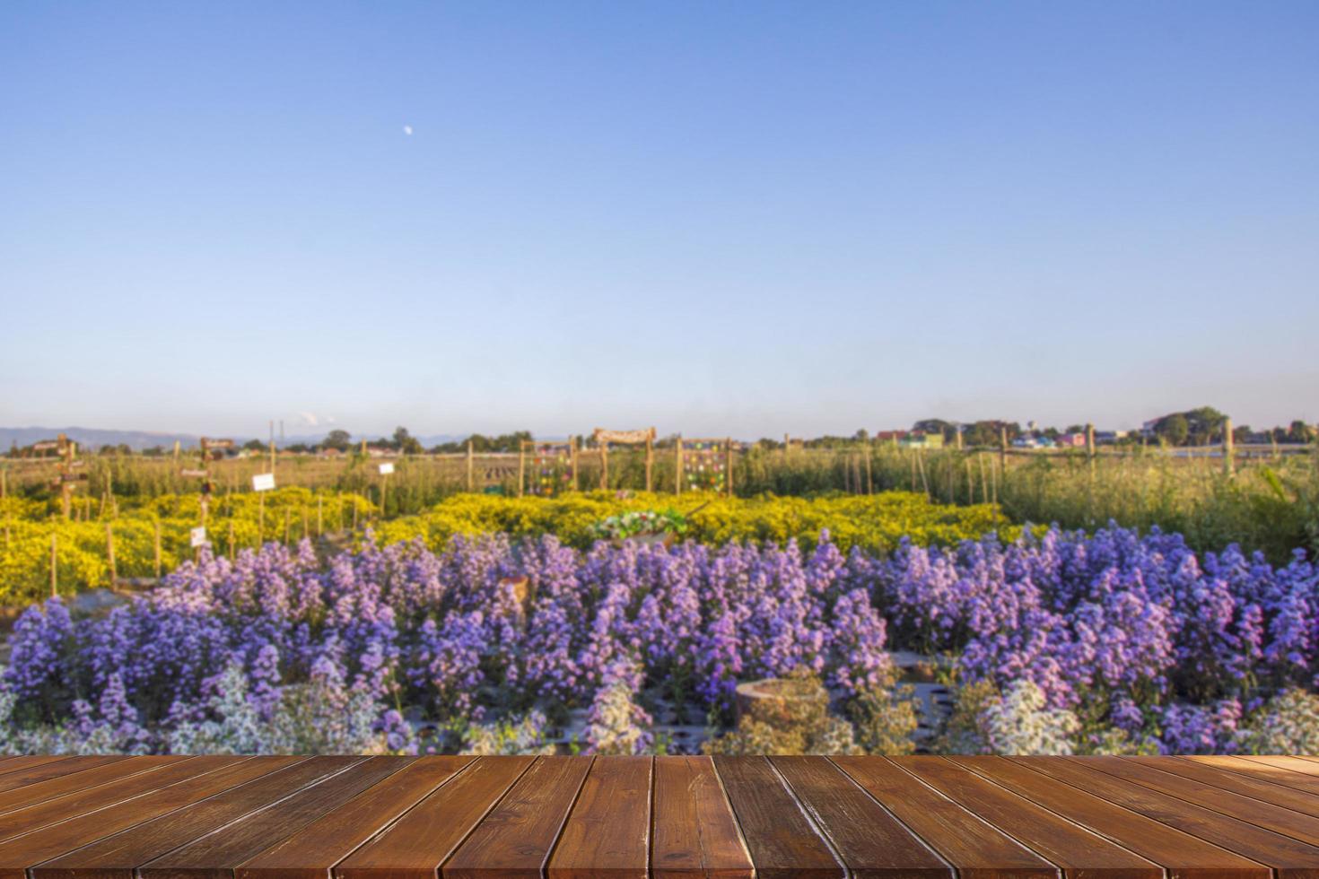 wooden table top on blurred park background photo