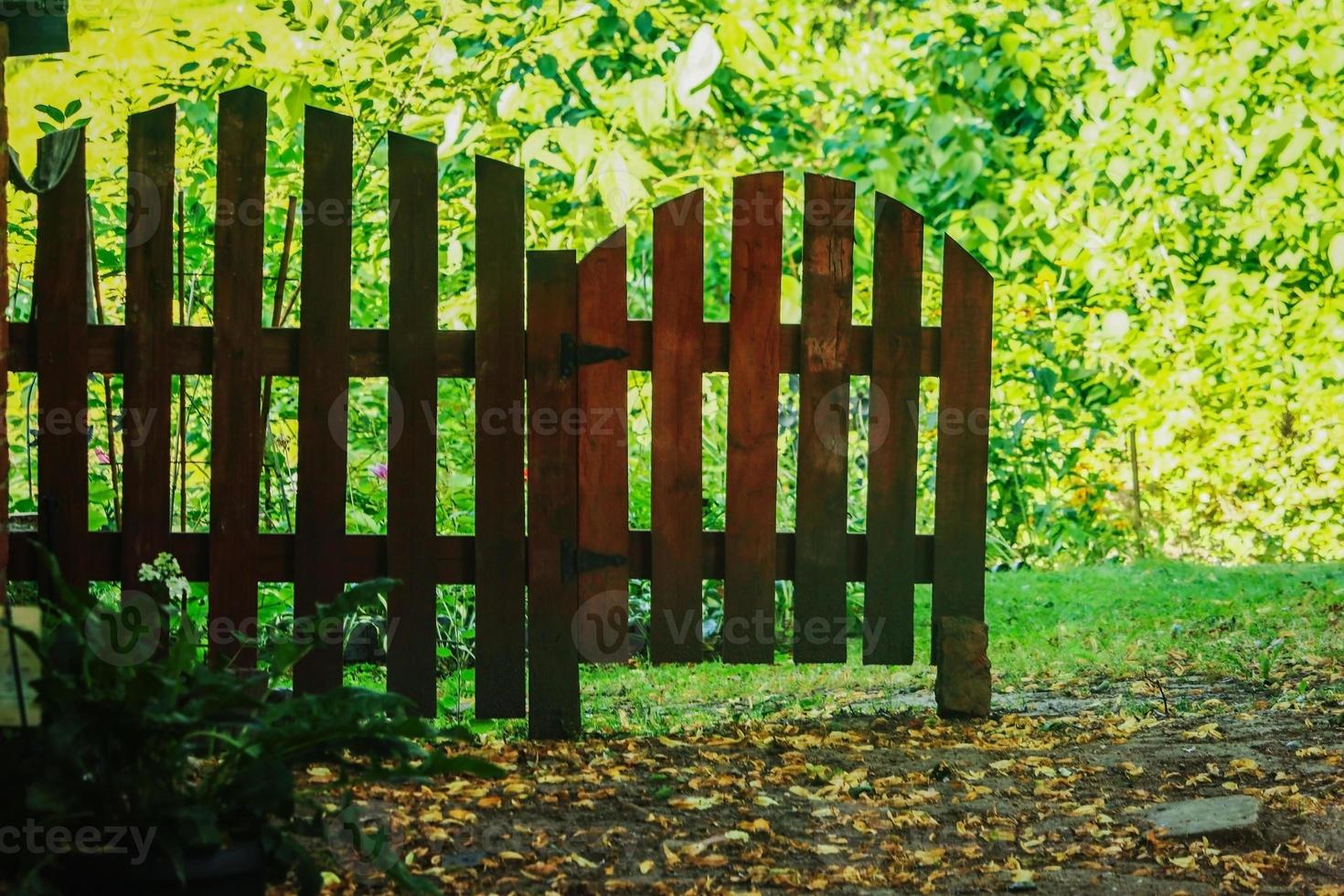 Dark wooden arched plank fence edge on light sunlit green trees and hedge leafy backgound photo