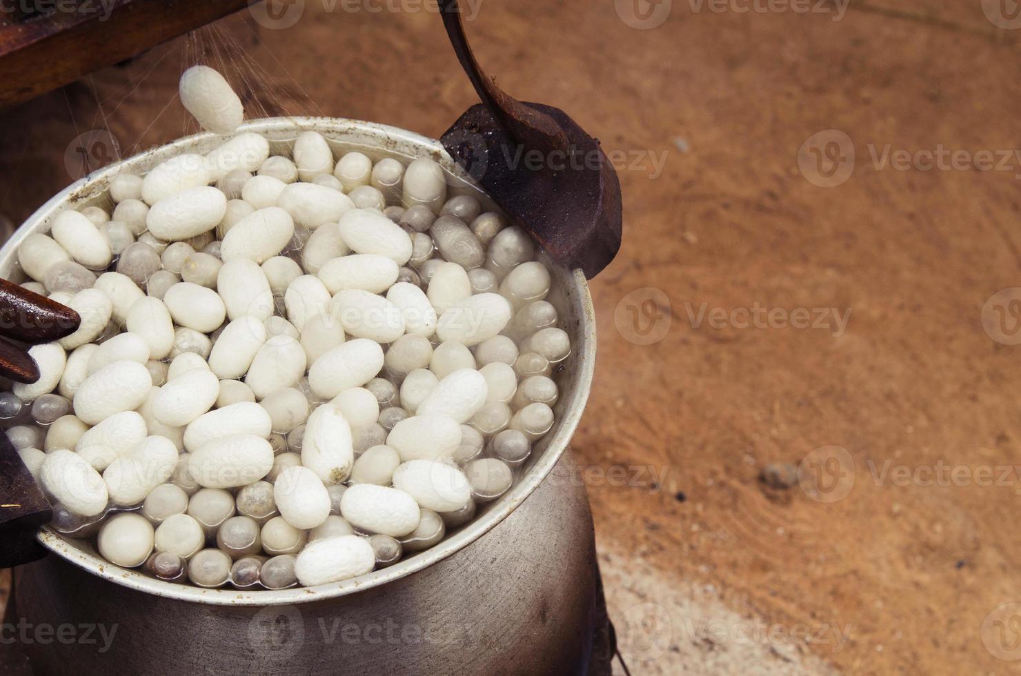 Silkworm cocoons boiled in a pot to prepare as raw materials for silk production. Silk made process. Selective focus on earth background. It is natural agriculture material for clothing. Copy space. photo