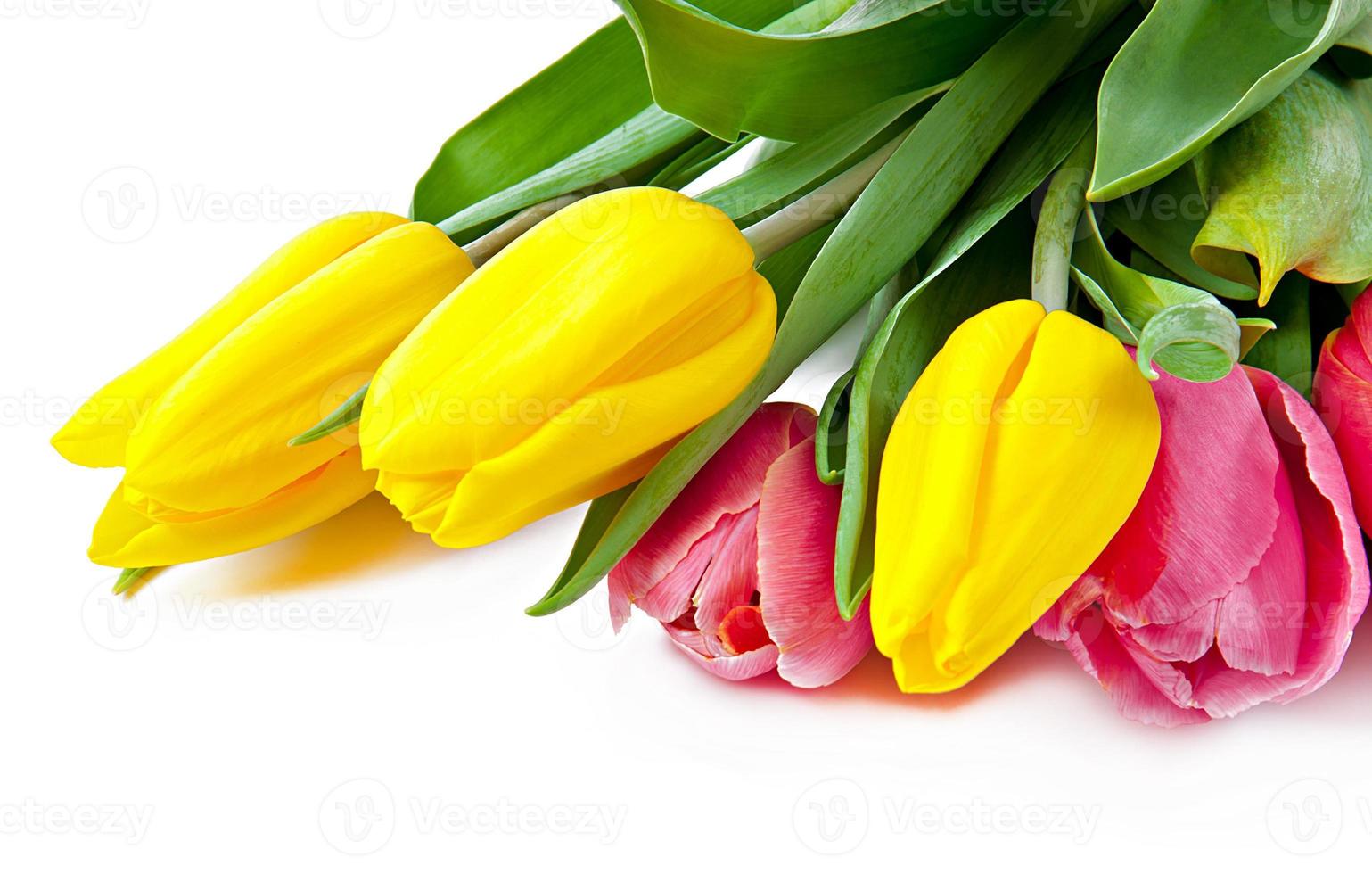 fondo de ramo de tulipanes foto