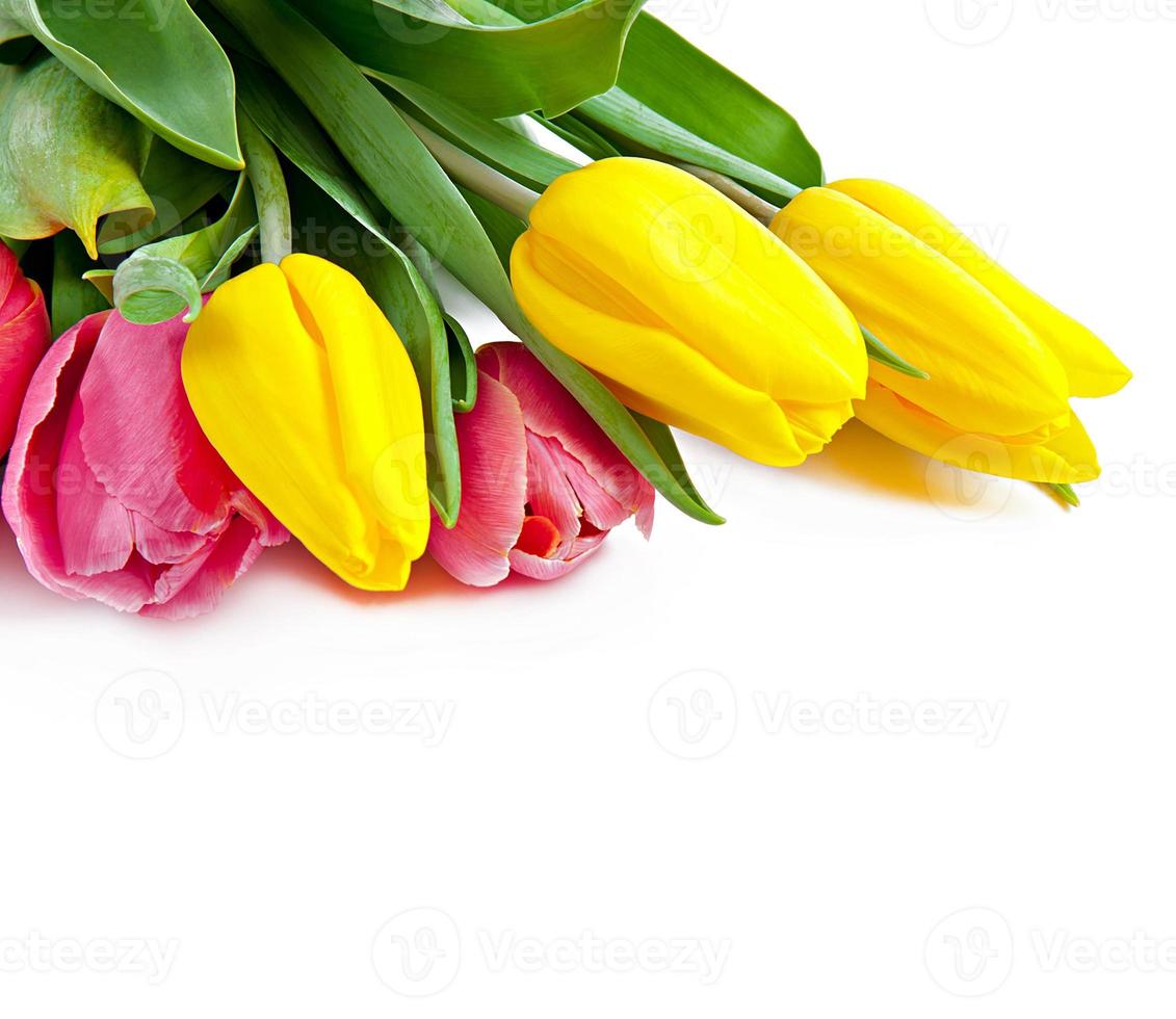 Tulips Bouquet background photo