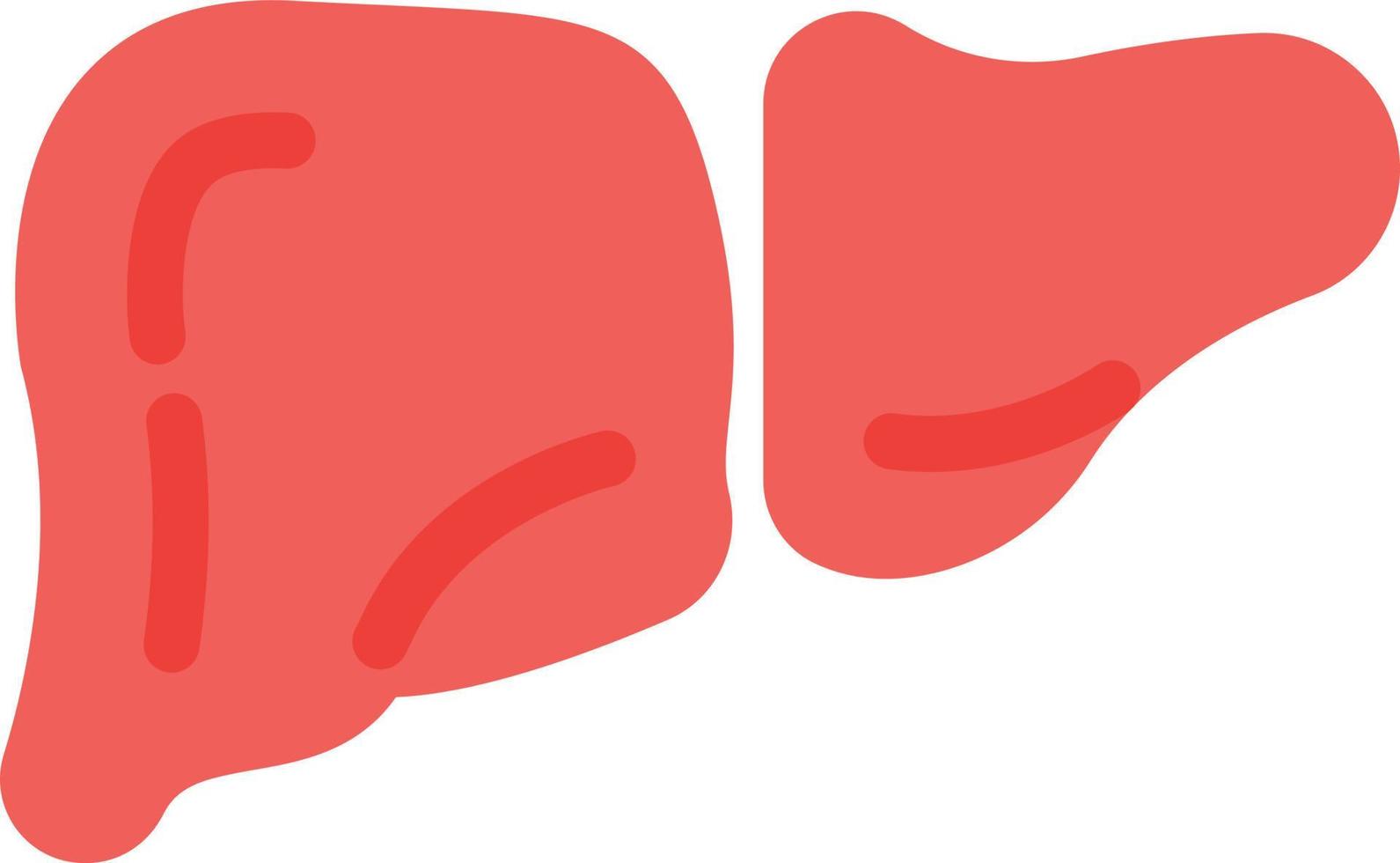 liver vector illustration on a background.Premium quality symbols. vector icons for concept and graphic design.