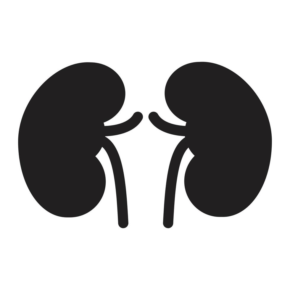 kidney vector illustration on a background.Premium quality symbols.vector icons for concept and graphic design.