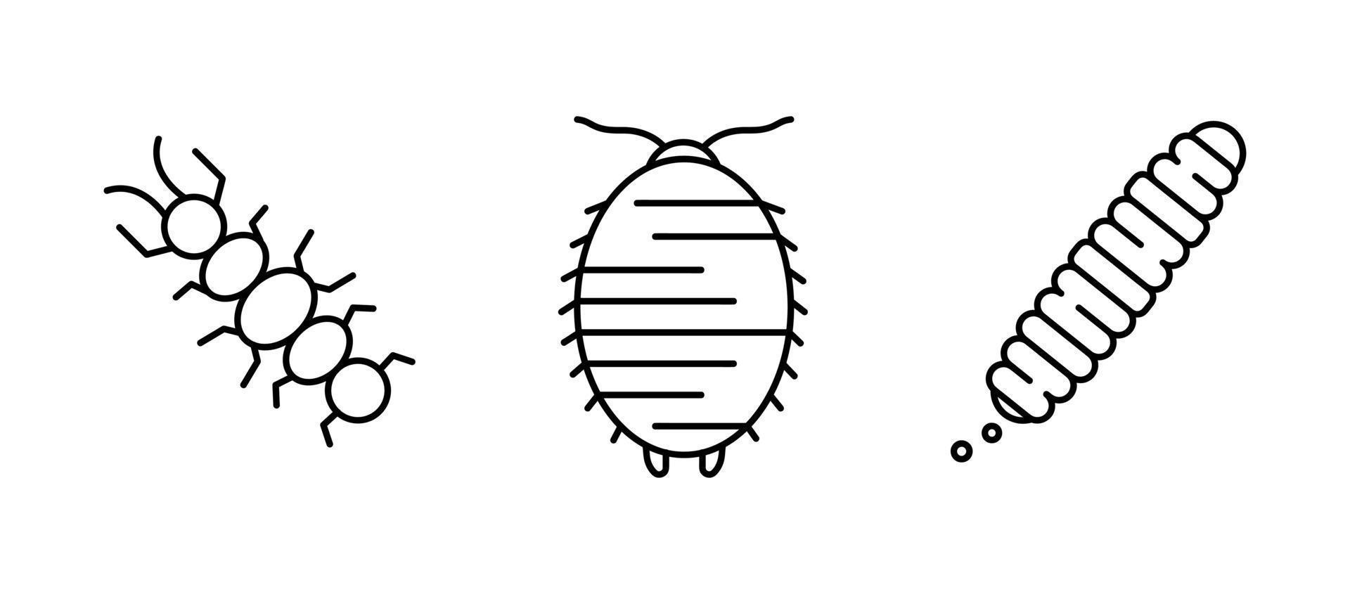 conjunto de iconos de insectos. conjunto de iconos de ciempiés, gusanos y reptiles similares. establecido para mi concepto de familia de insectos. conjunto de iconos lineales. vector