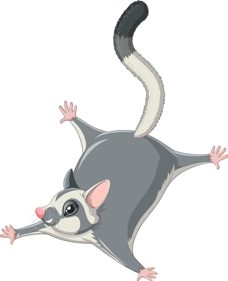 A cute cute sugar glider cartoon character vector