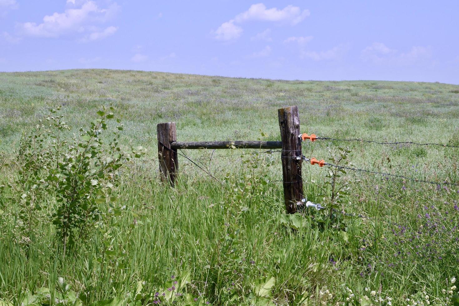 una puerta de madera en una cerca eléctrica en un campo foto