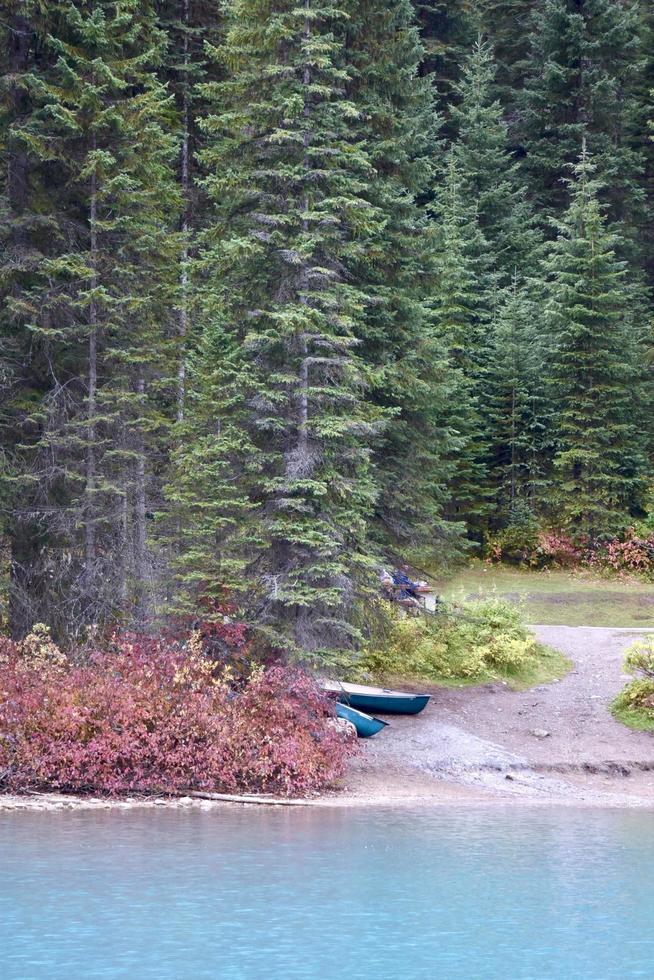 a fall day at emerald lake in the Canadian rockies photo