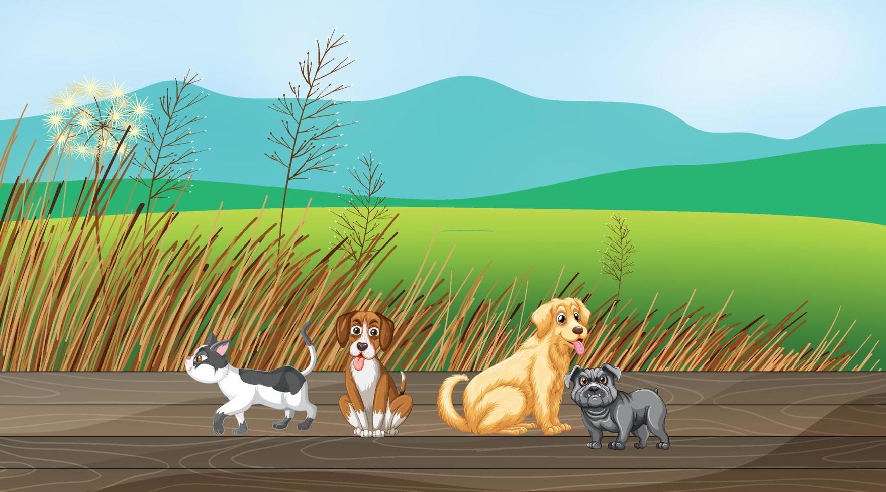 Set of different domestic animals in field vector