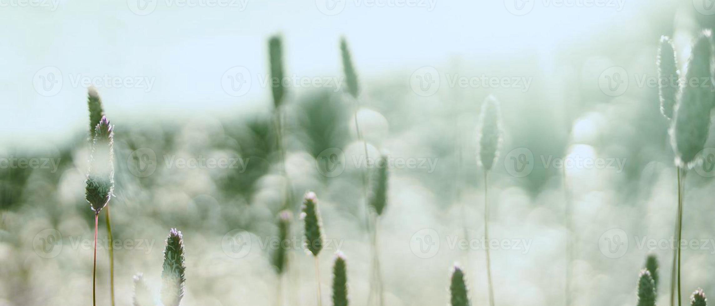 Fondo de pantalla 4k hd para escritorio de computadora con estética oscura y fondos de pantalla trippy para chicas lindas 7252055 Foto de stock en Vecteezy Fondo de pantalla 4k hd para escritorio de computadora con estética oscura y fondos de pantalla trippy para chicas lindas 7252055 Foto de stock en Vecteezy