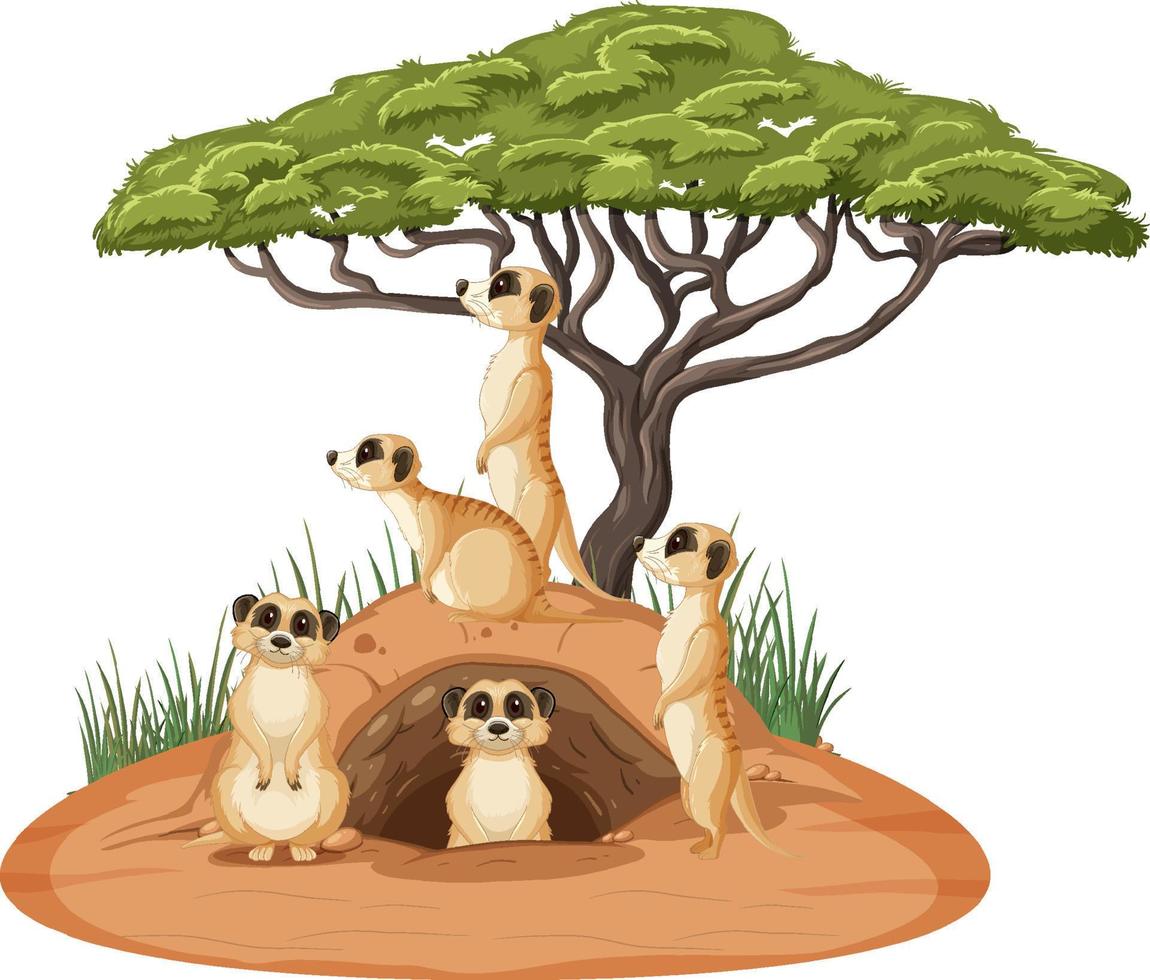 Group of meerkats with burrow in cartoon style vector