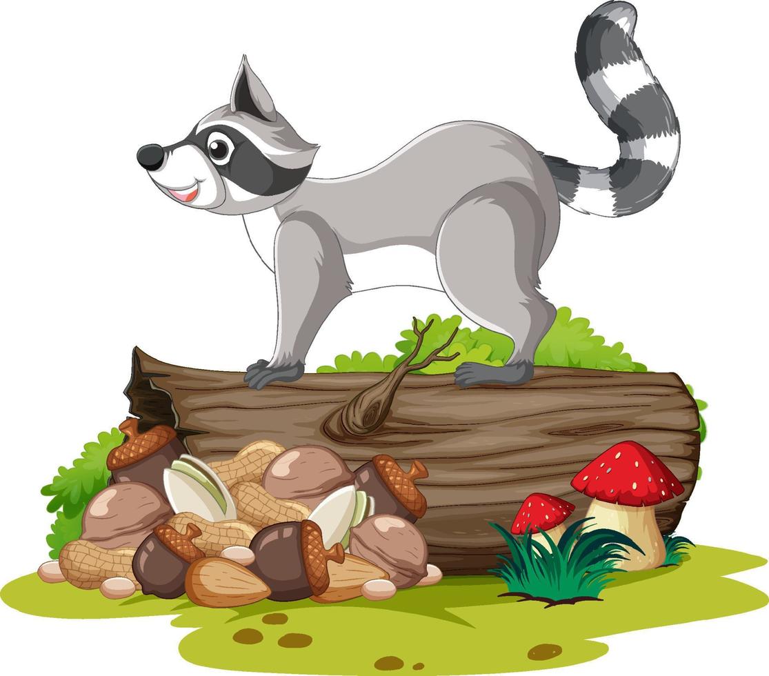 Cute raccoon standing on log vector