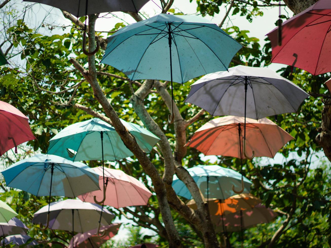 paraguas de colores de fondo sombrillas de colores. foto
