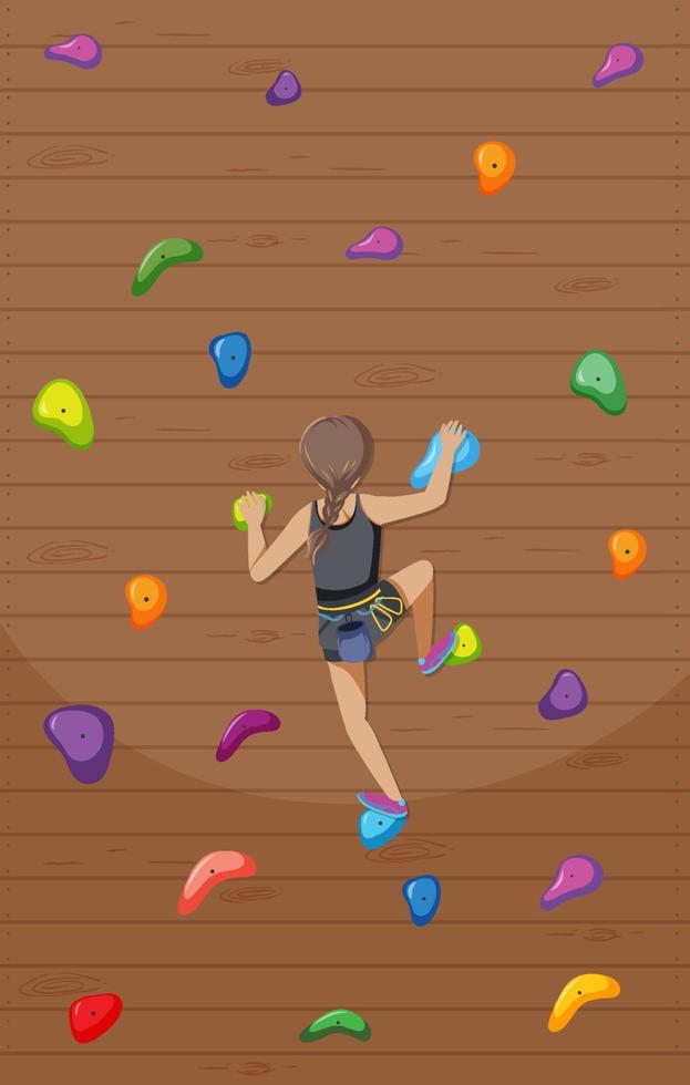 Indoor rock climbing gym vector