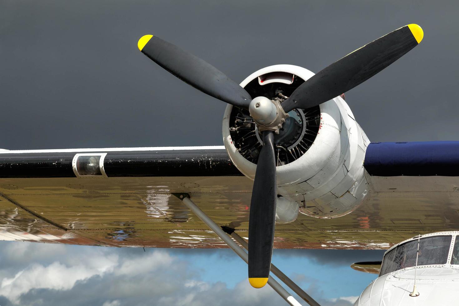 Goodwood, West Sussex, UK, 2012. Close-up of a Catalina Flying Boat photo