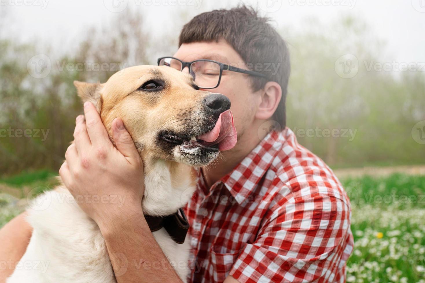Happy man sitting with mixed breed shepherd dog on green grass in spring flowers photo