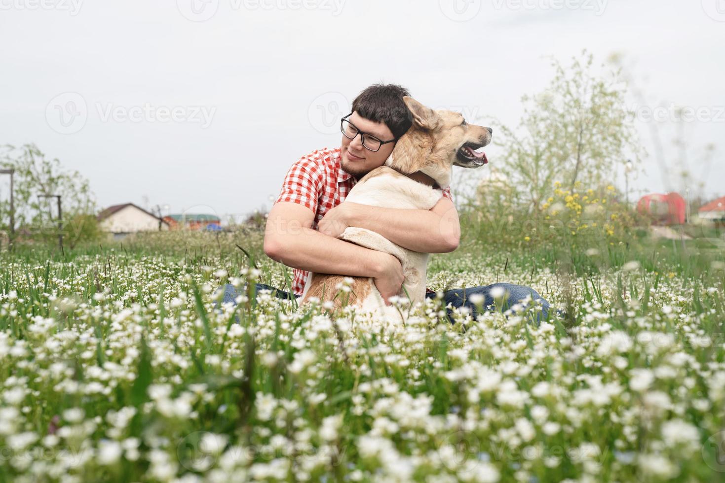 Happy man sitting with mixed breed shepherd dog on green grass in spring flowers photo