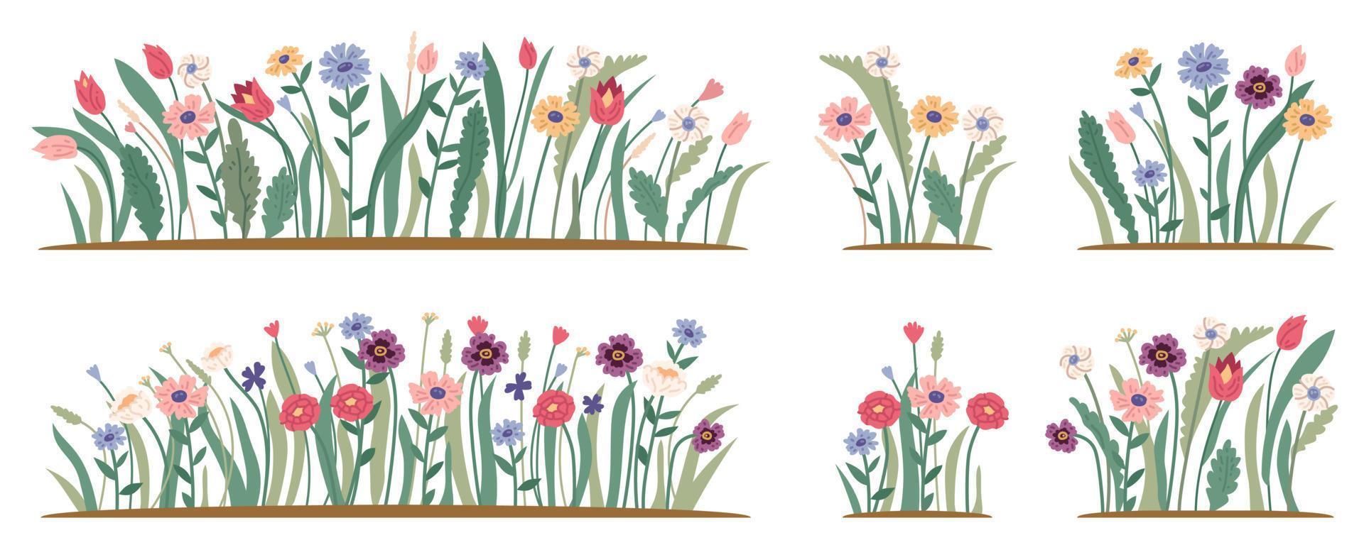 Spring forest and garden flowers isolated on white set. vector