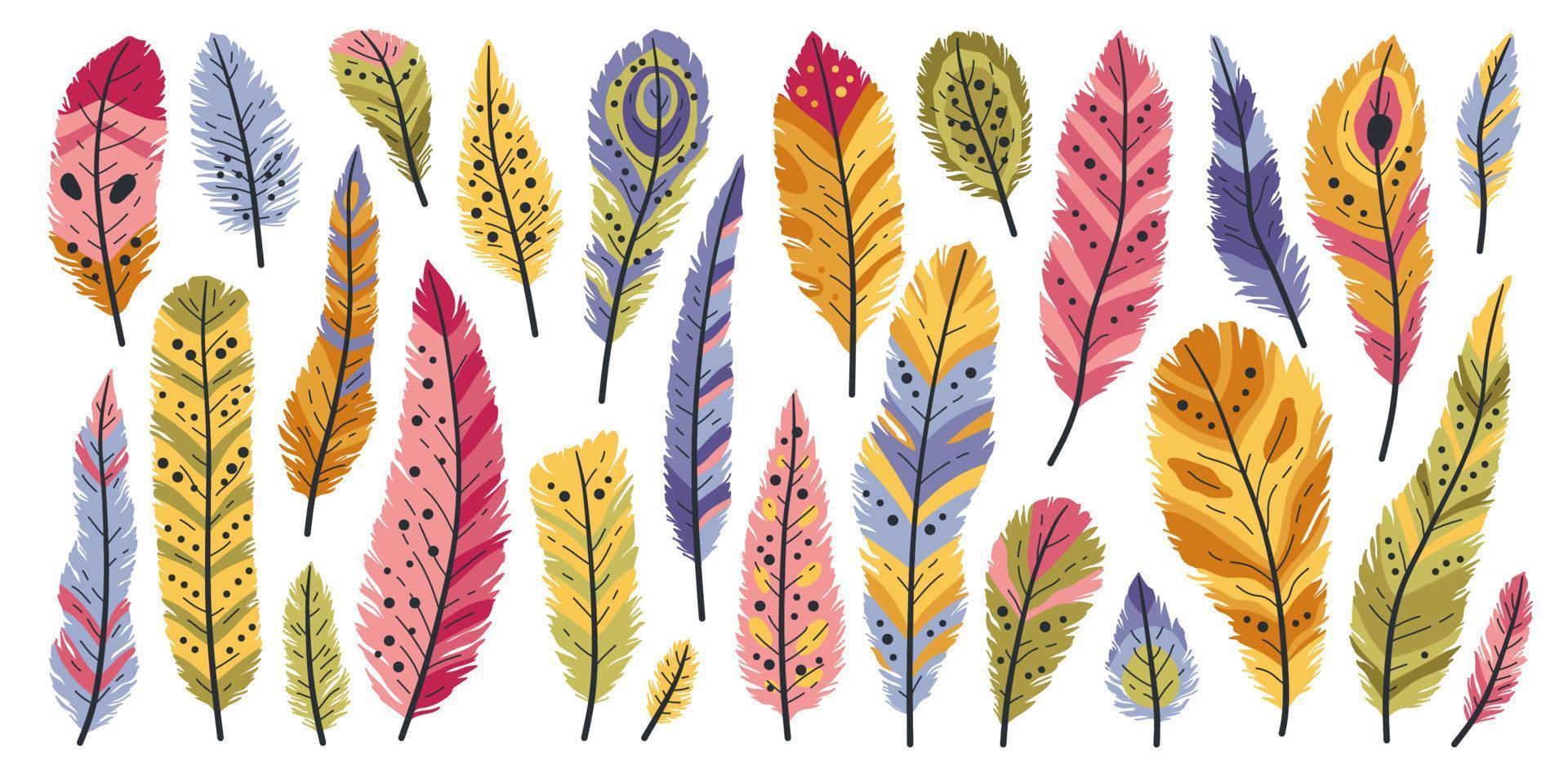 Set of decorative colored animals tribal feathers vector