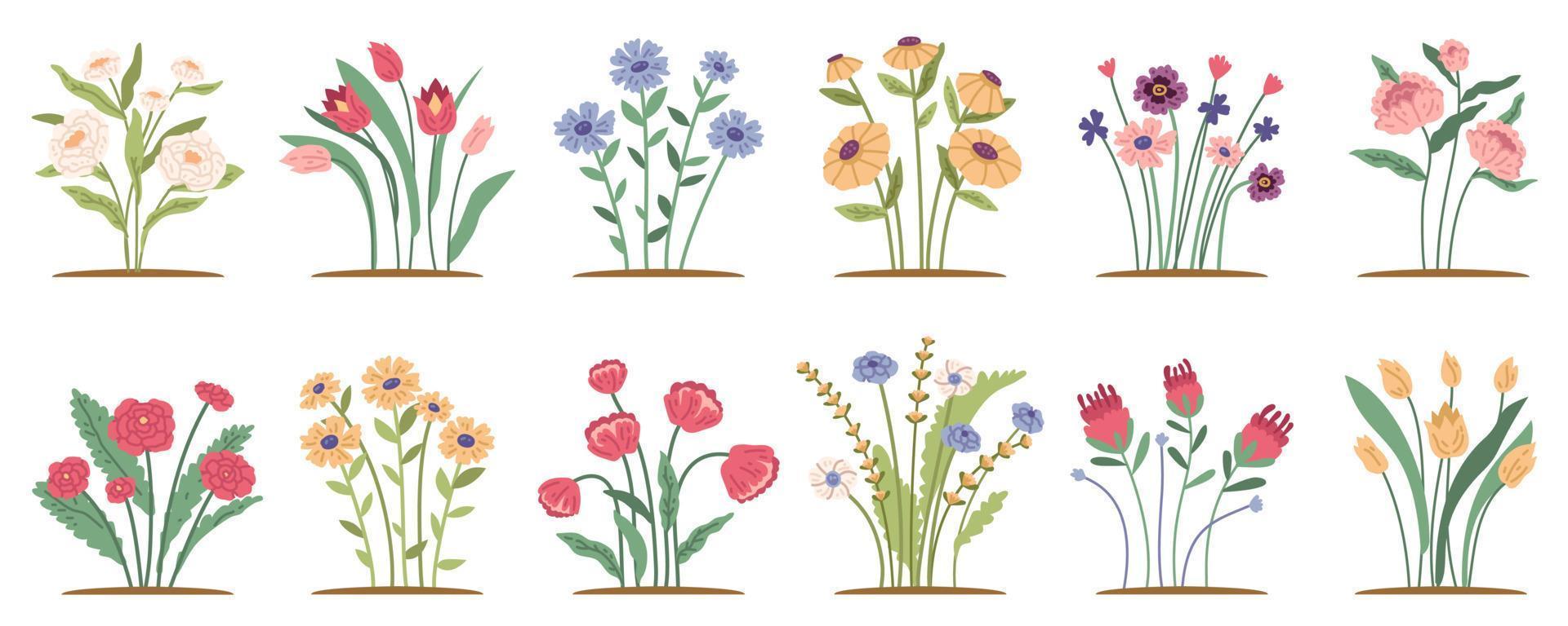 Spring forest and garden flowers isolated on white set. vector