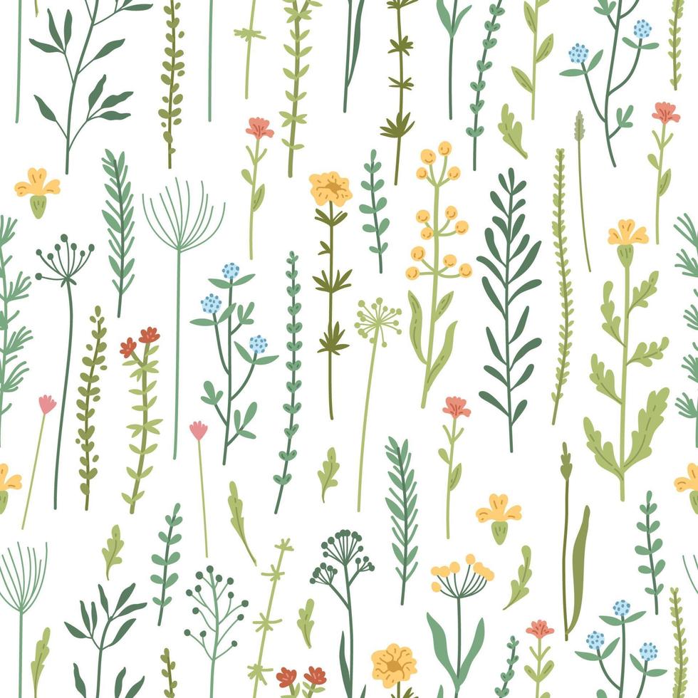 Seamless floral pattern with hand drawn plants, leaves, wild flowers. vector