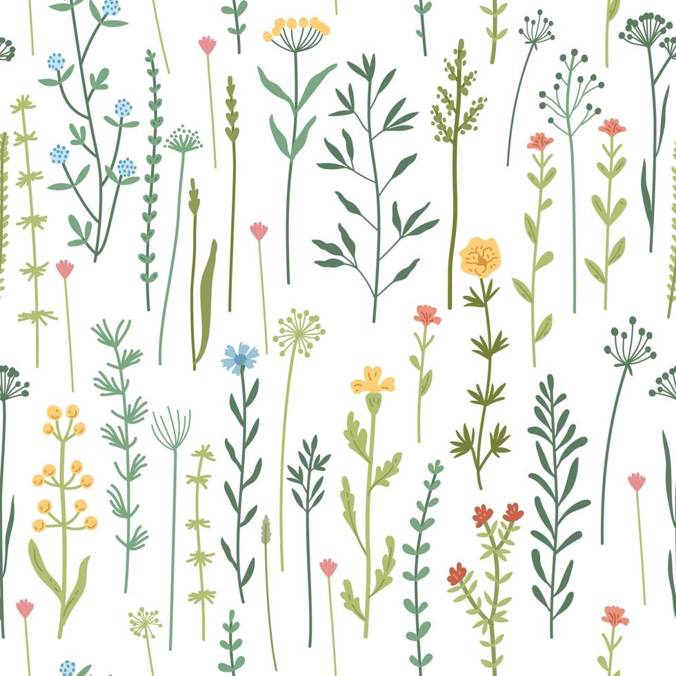 Seamless floral pattern with hand drawn plants, leaves, wild flowers. vector