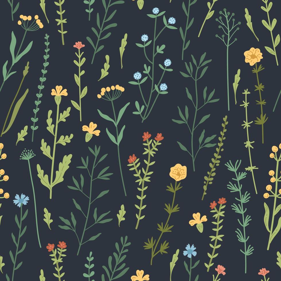 Seamless floral pattern with hand drawn plants, leaves, wild flowers. vector