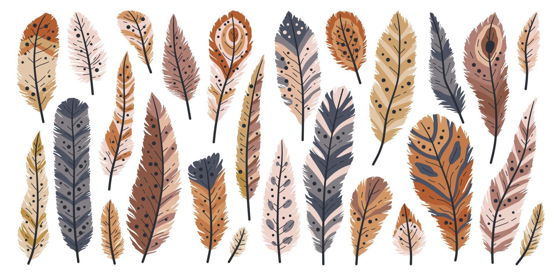 Rustic decorative tribal feathers. Set of decorative animals feathers. vector