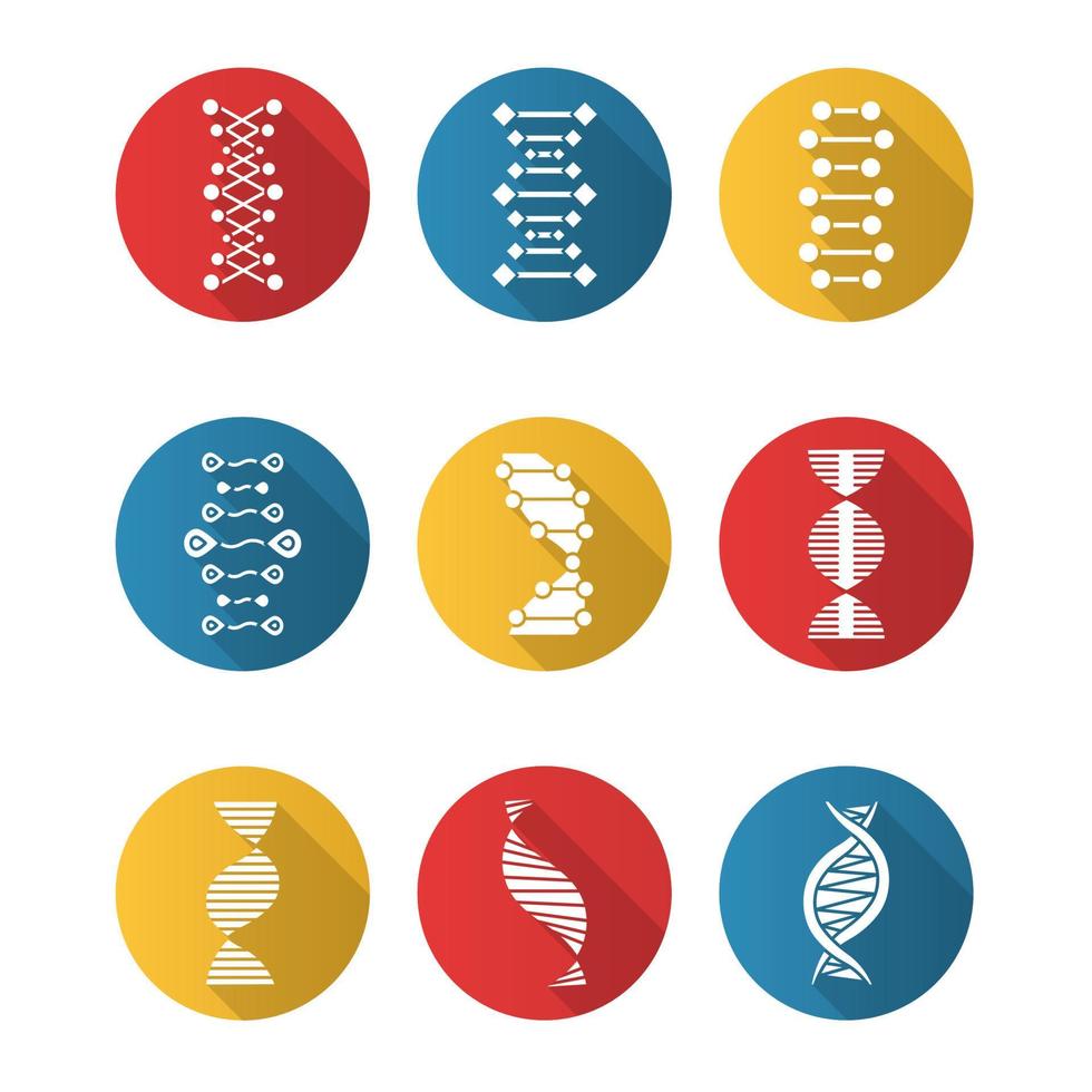 DNA double helix flat design long shadow glyph icons set. Deoxyribonucleic, nucleic acid. Spiraling strands. Chromosome. Molecular biology. Genetic code. Genetics. Vector silhouette illustration