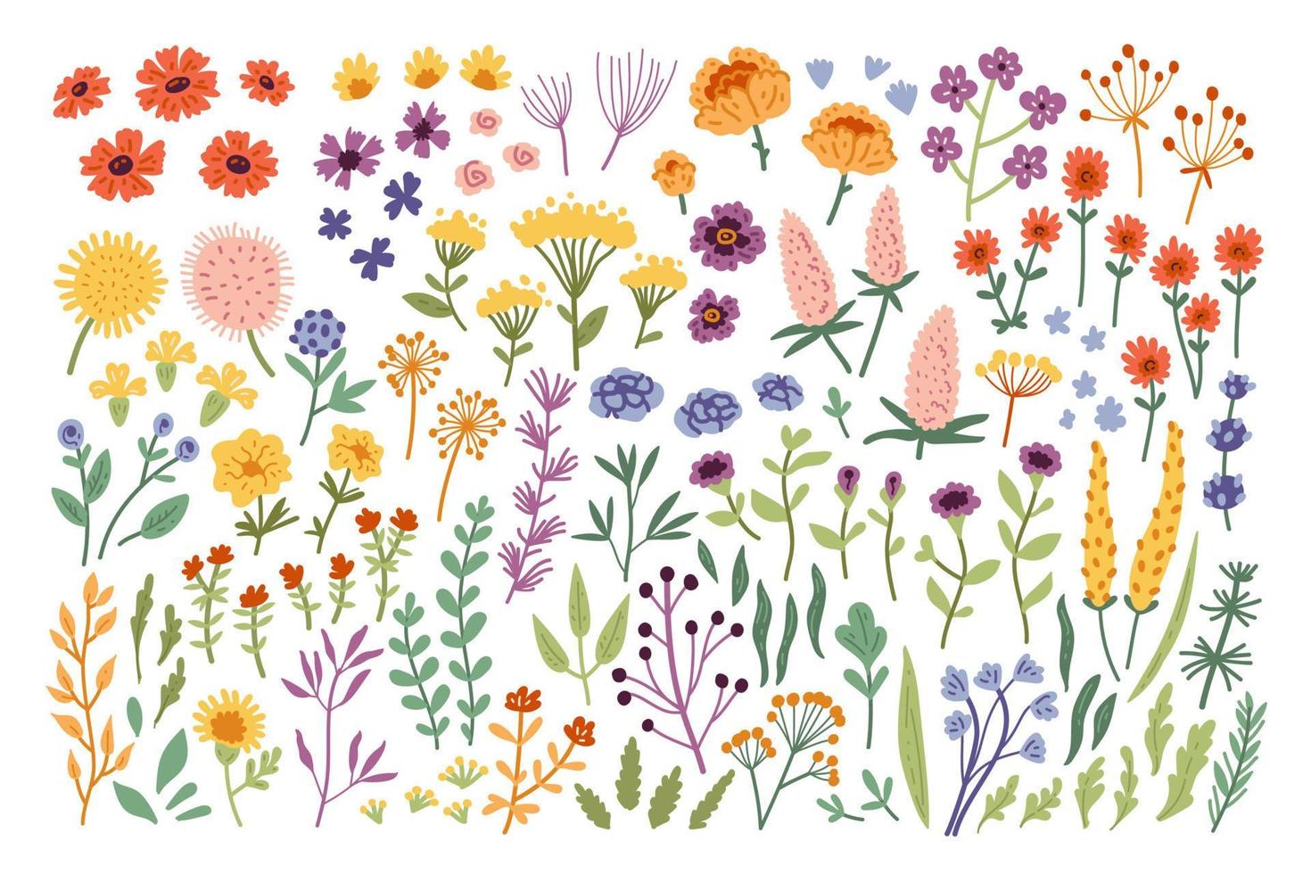 Big botanical set of doodle wild flower other elements. vector