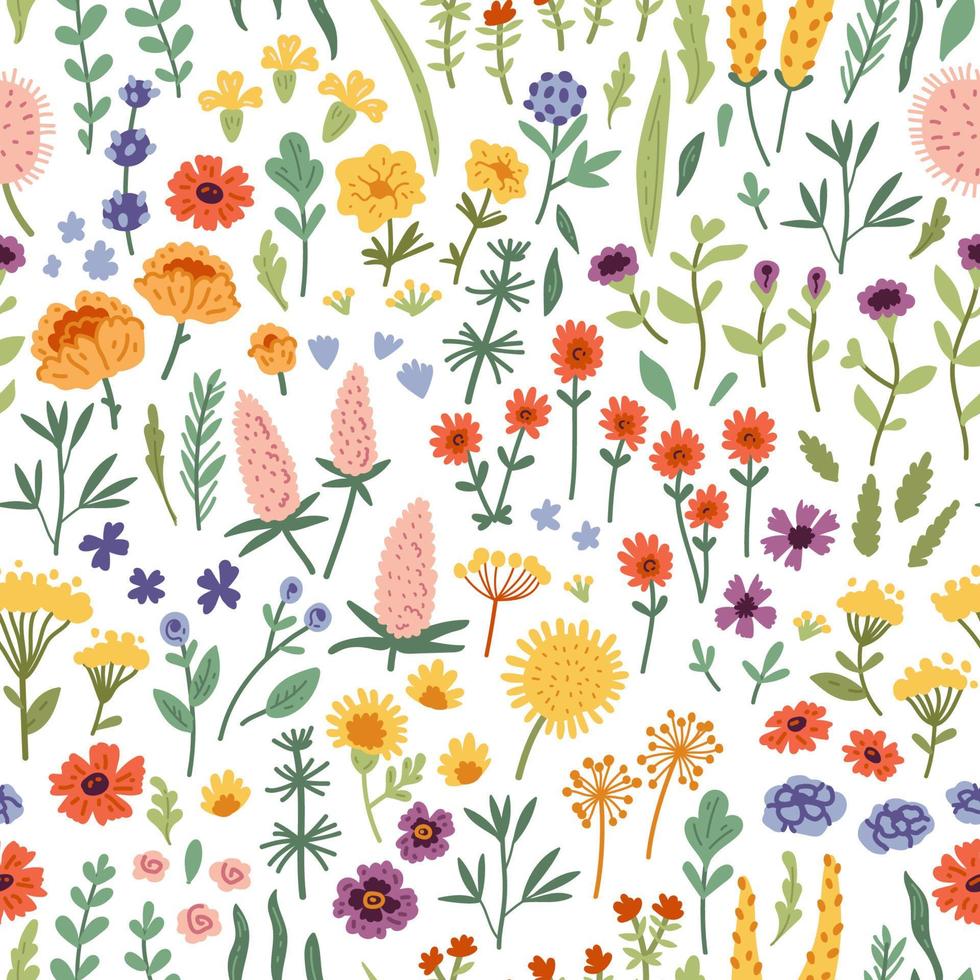 Beautiful watercolor wild field flowers seamless pattern vector