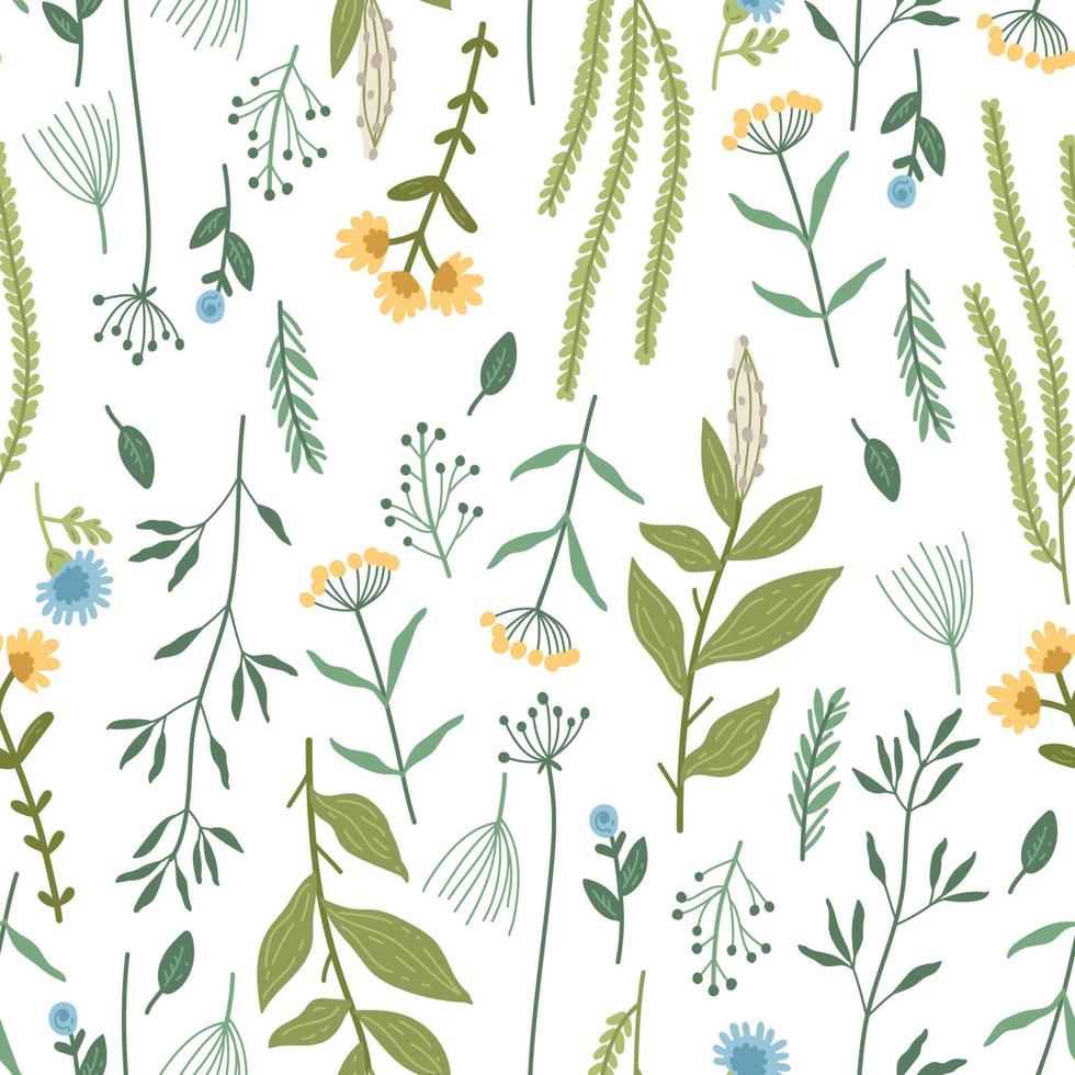 Beautiful watercolor wild field flowers seamless pattern vector